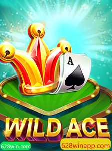 Explorando o Mundo de WildAce: Um Guia Completo
