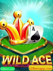 Explorando o Mundo de WildAce: Um Guia Completo